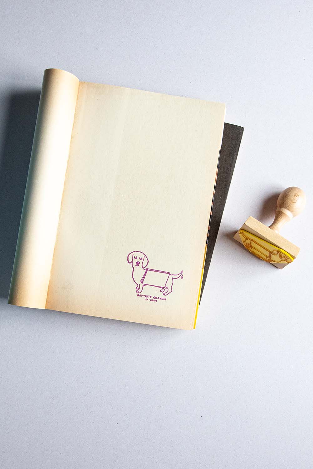 Portadilla de libro estampado con sello exlibris de un perro con un libro abierto sobre el lomo y sello