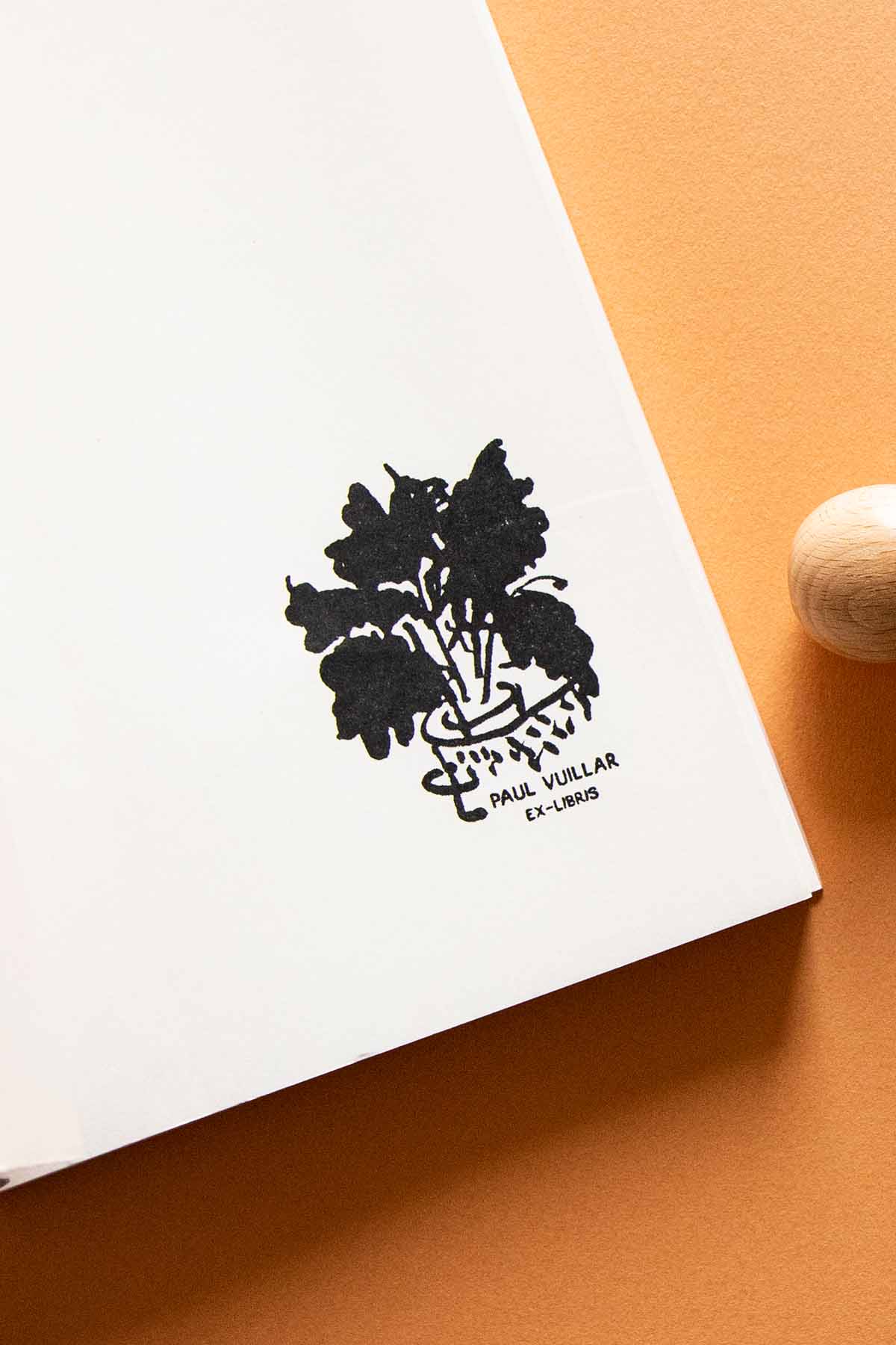 Portadilla de libro estampada con sello exlibris de una planta en una maceta con hojas anchas